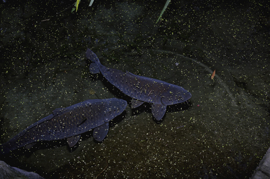 'young curators, new ideas' at the bond street gallery, NY