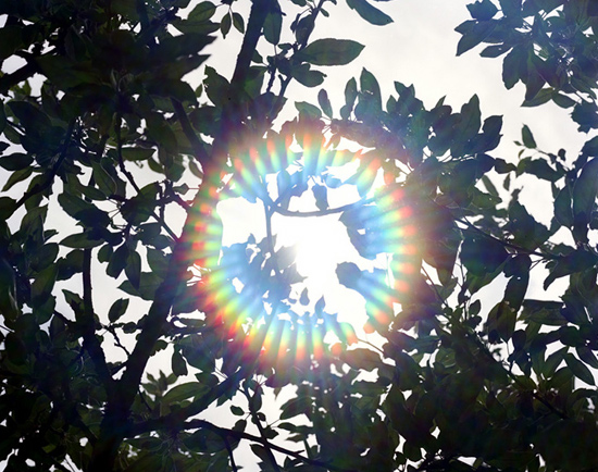 'young curators, new ideas' at the bond street gallery, NY