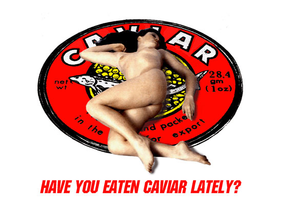 total enlightenment   moscow conceptual art 1960 1990