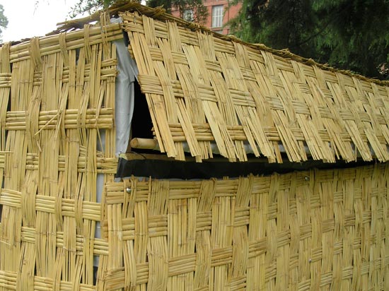 red cross shelters in peru