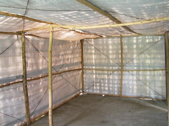 red cross shelters in peru