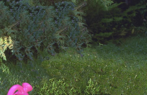 sex pictures minus the sex