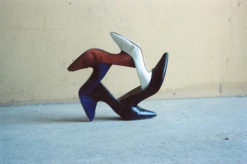 fischli & weiss: flowers and questions