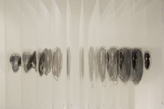 the 'terminal' exhibition