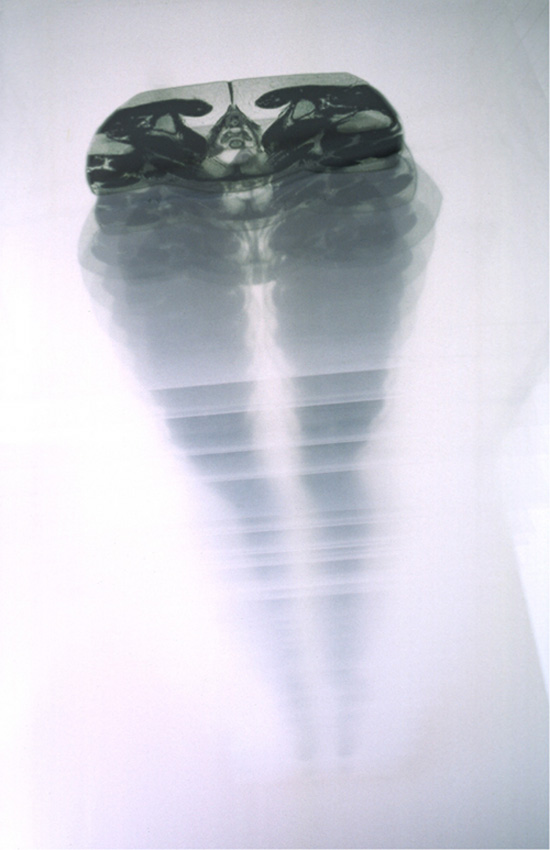 the 'terminal' exhibition