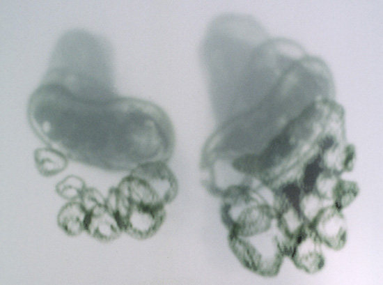 the 'terminal' exhibition