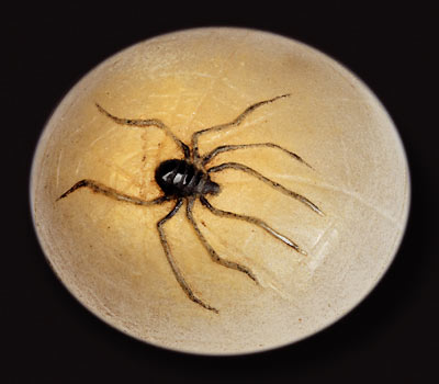 designboom 'x mas' picks from art and design auctions : dorotheum