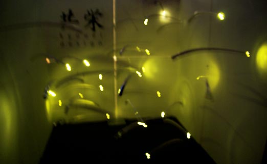 invited designers exhibition at the seoul design week 2007