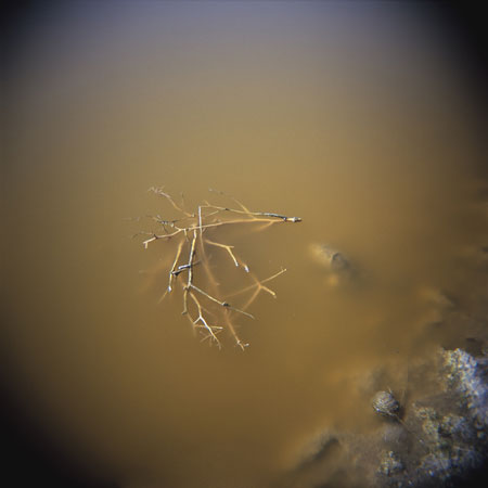 entropic membranes by kimberly jones