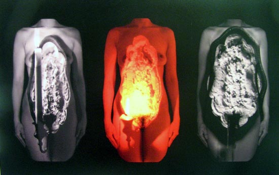 hojin kwak 'transfer' exhibition at the noam gallery