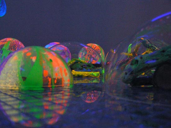 hojin kwak 'transfer' exhibition at the noam gallery