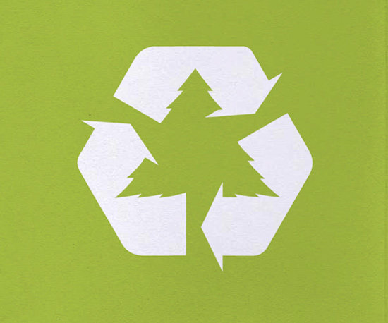 green earth competition results