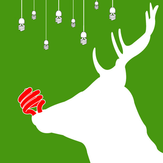 green earth competition results