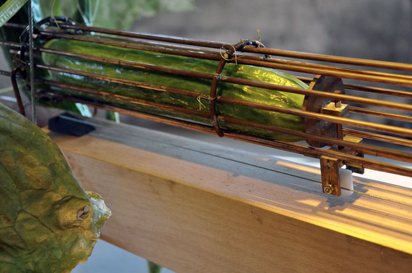 ronald van der meijs: parthenocarp