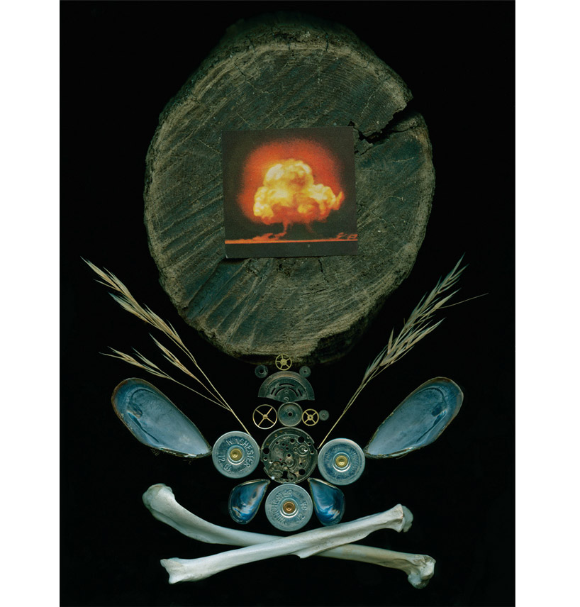 sean vranizan: scanner art