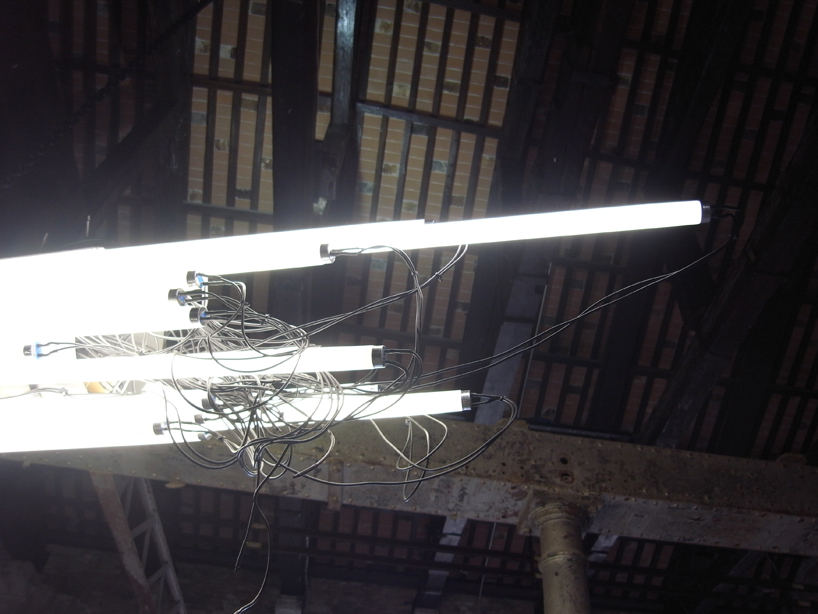 monica bonvicini at venice art biennale 2011