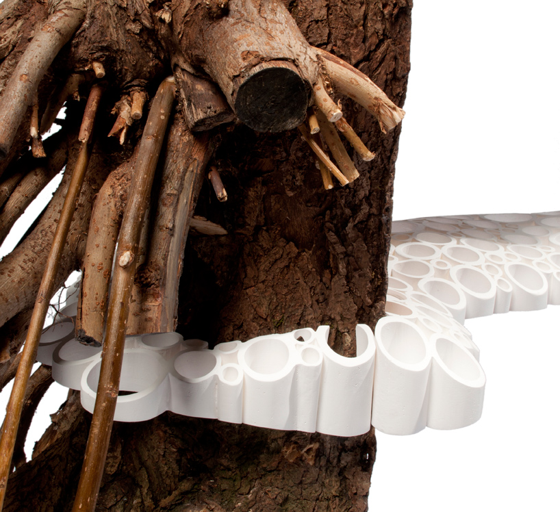 floris wubben: tree fungus shelf