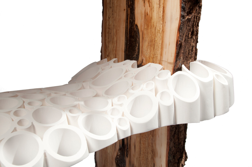 floris wubben: tree fungus shelf