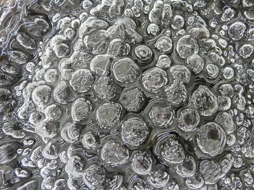 matali crasset + vincent breed: cuttings at granville gallery