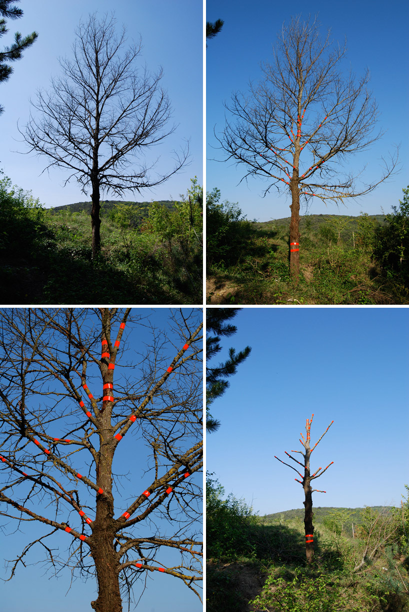 matali crasset + vincent breed: cuttings at granville gallery