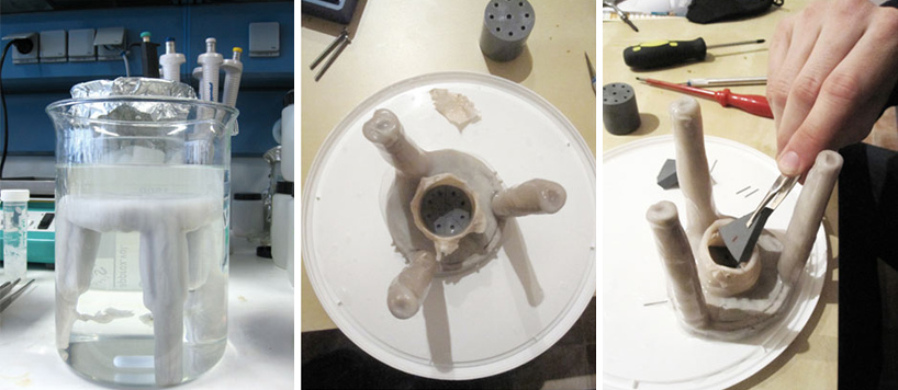 jannis hülsen: cellulose fibre xylinum stool