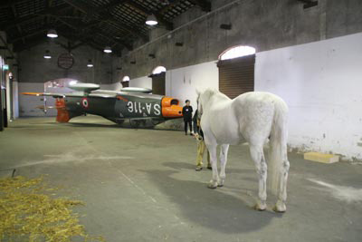 paola pivi: my religion is kindness. thank you, see you in the future.