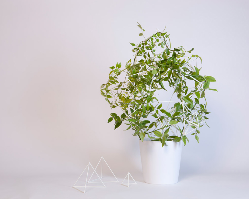 studio kg: parramyd planter