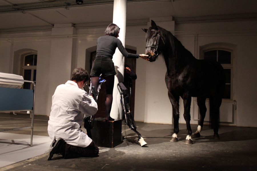 art orienté objet: may the horse live in me