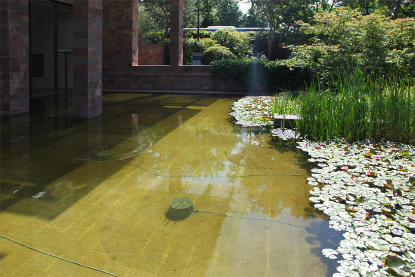 philippe parreno: sonic water lilies at beyeler foundation