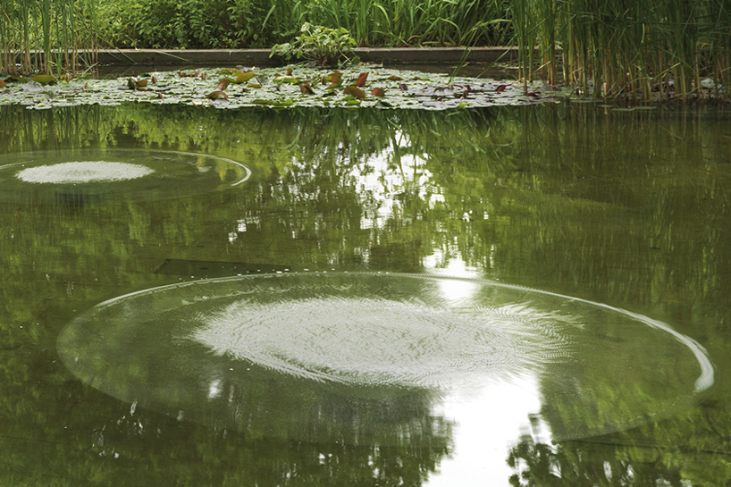 philippe parreno: sonic water lilies at beyeler foundation