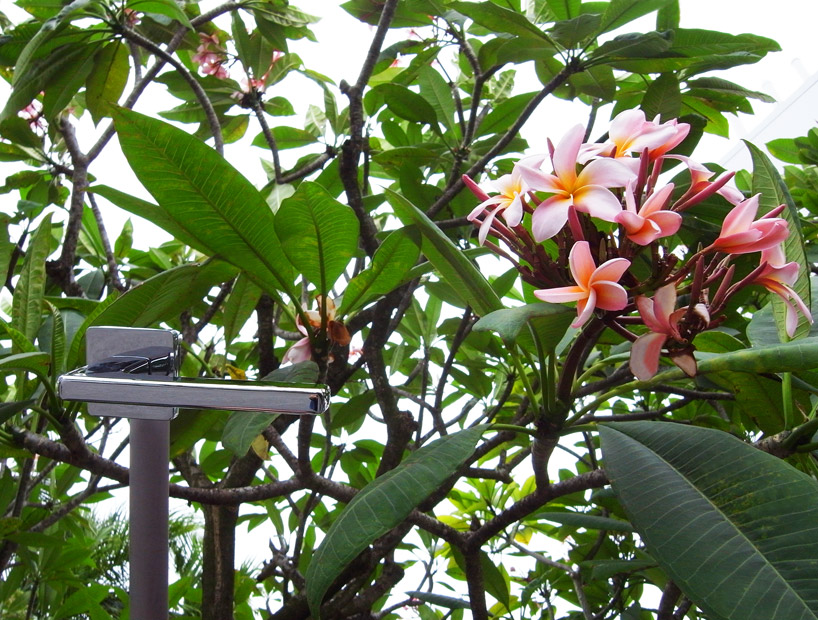 colombo design: esprit by birgit lohmann in singapore