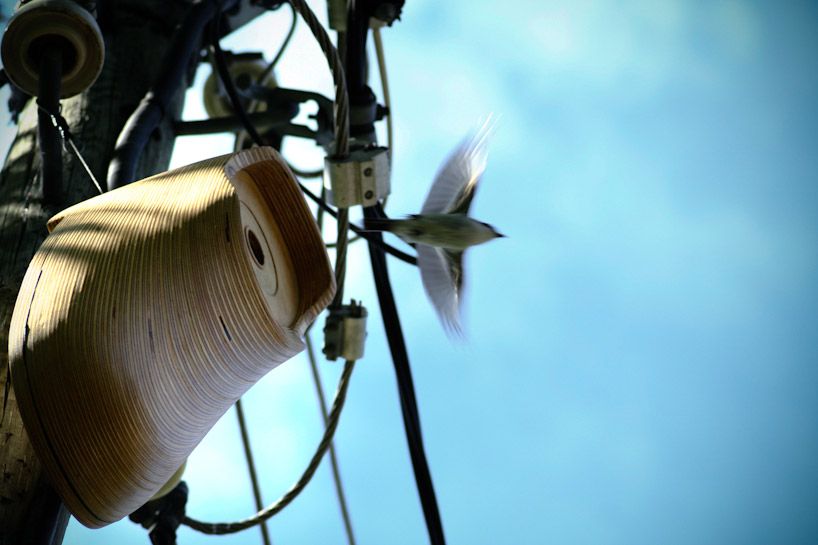 christian bermudez: the birdhouse project