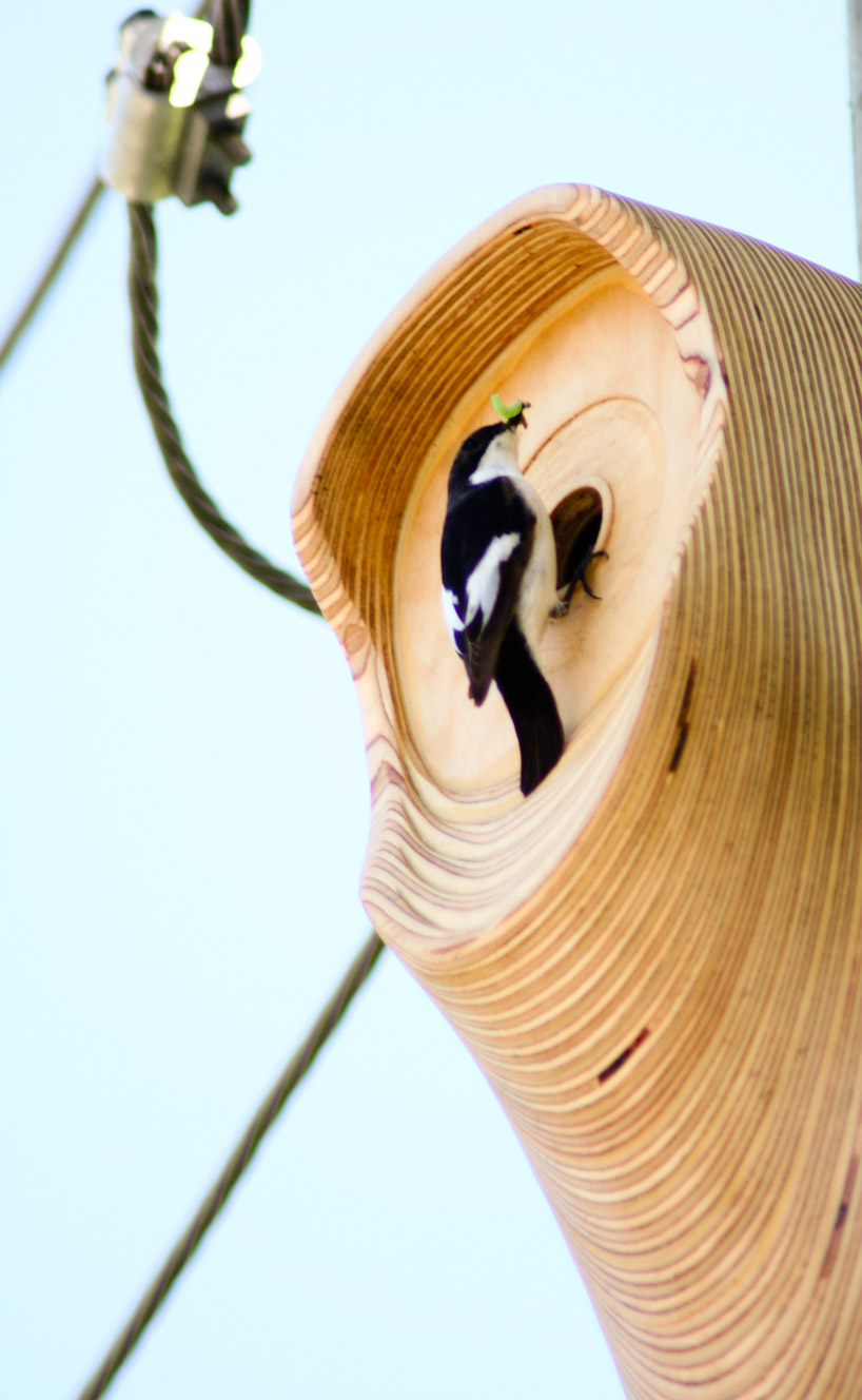 christian bermudez: the birdhouse project