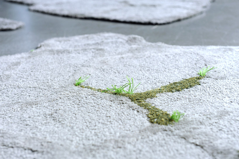 az & mut: on the rocks carpet collection