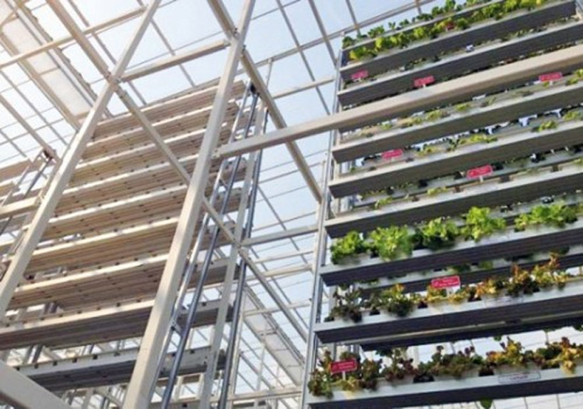 first commercial vertical farms in singapore