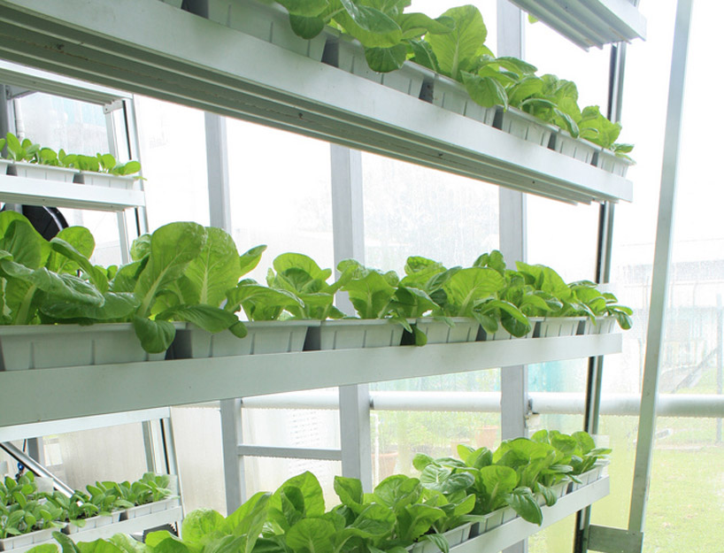 first commercial vertical farms in singapore