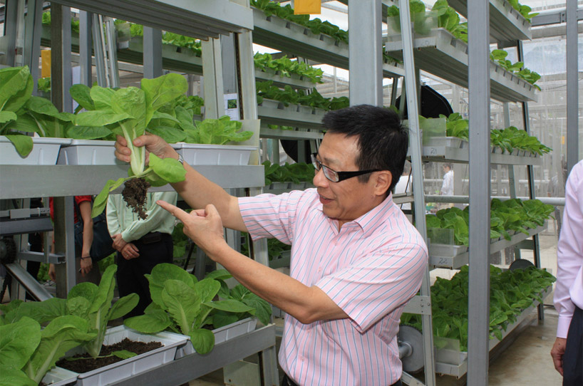 first commercial vertical farms in singapore