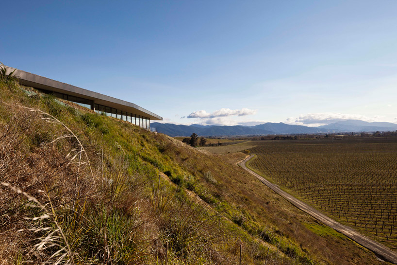 fearon hay architects brancott estate heritage centre