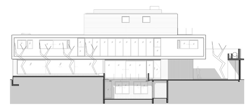 fernanda canales: maruma house