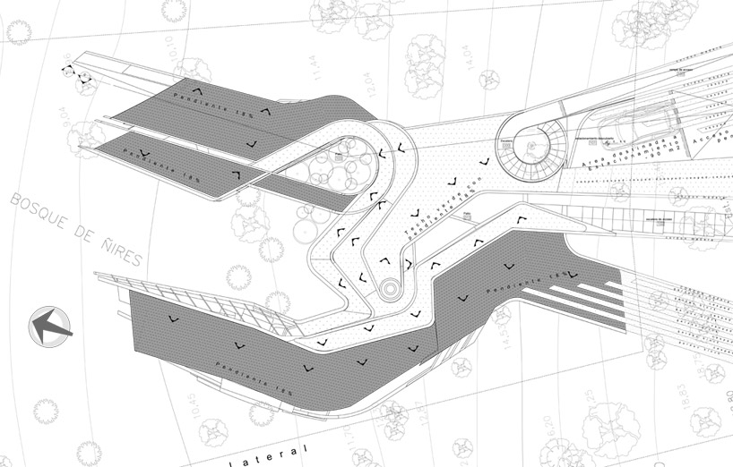 G2 estudio: swamp house