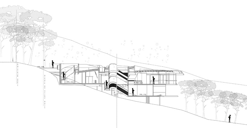 G2 estudio: swamp house