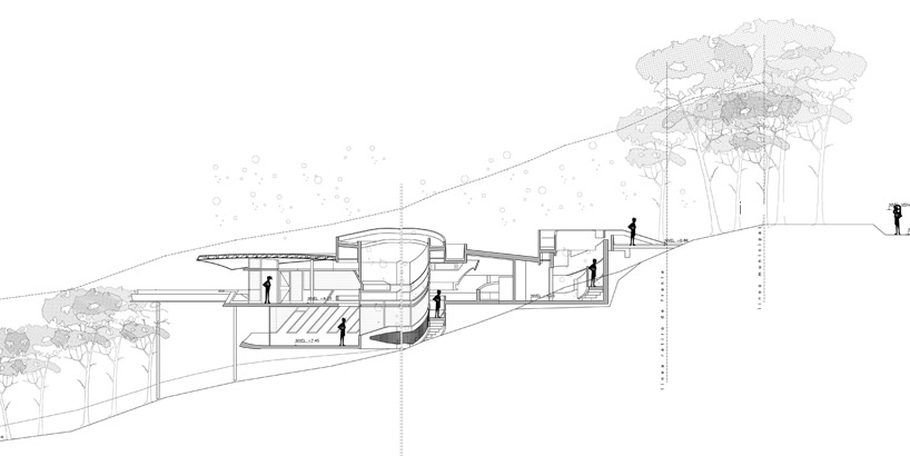 G2 estudio: swamp house