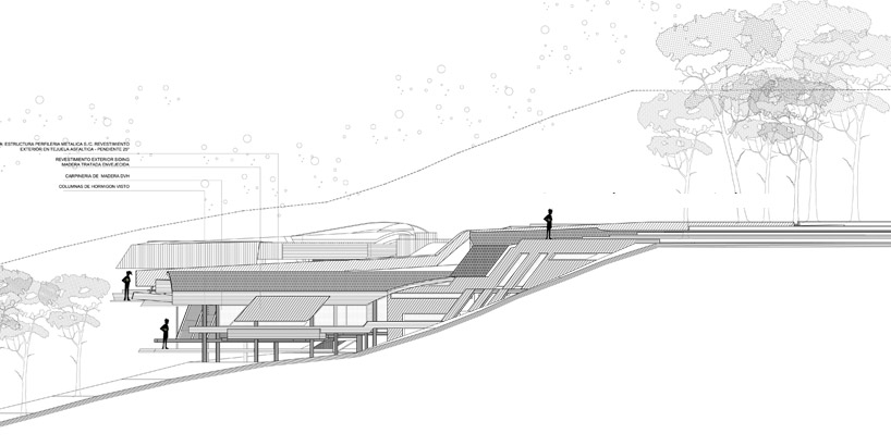 G2 estudio: swamp house