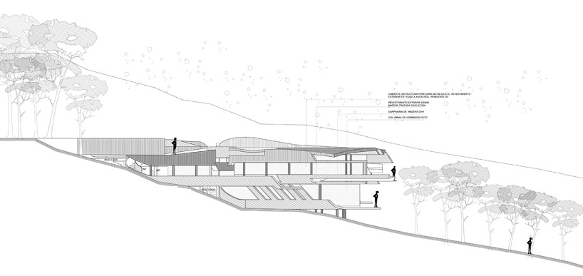 G2 estudio: swamp house