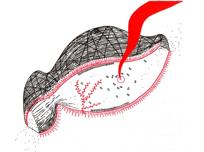 marco casagrande: cicada
