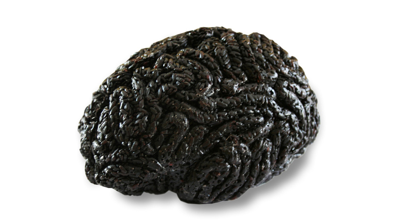 sara asnaghi: what have you got in your head?