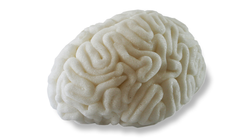 sara asnaghi: what have you got in your head?