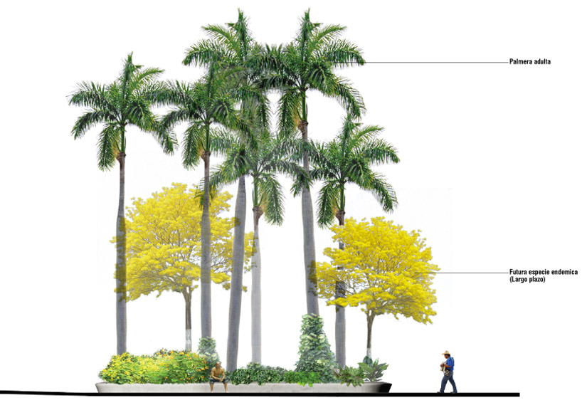 west 8: puerto vallarta