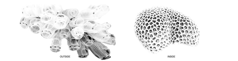 architectures david tajchman: busan opera house