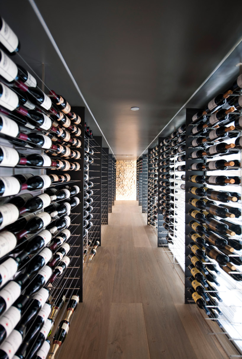 paul mcaneary architects: tex tonic house 1